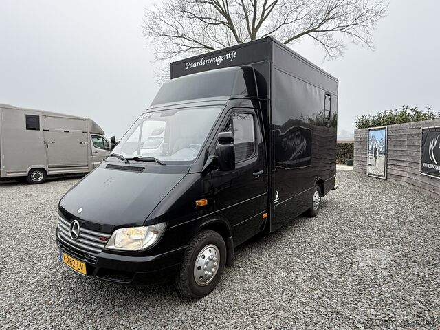 Paarden transport Mercedes-Benz Sprinter PAARDENWAGEN | HORSETRUCK | TVW | CLAS...