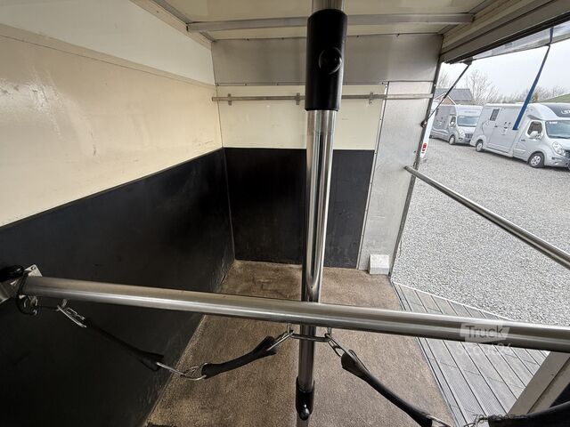 Paarden transport Mercedes-Benz Sprinter PAARDENWAGEN | HORSETRUCK | TVW | CLAS...