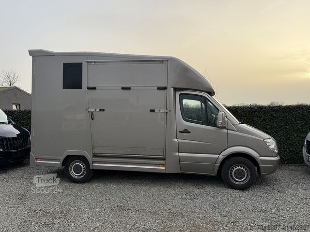 Paarden transport Mercedes-Benz Sprinter PAARDENWAGEN | HORSETRUCK | RC | CLASS...