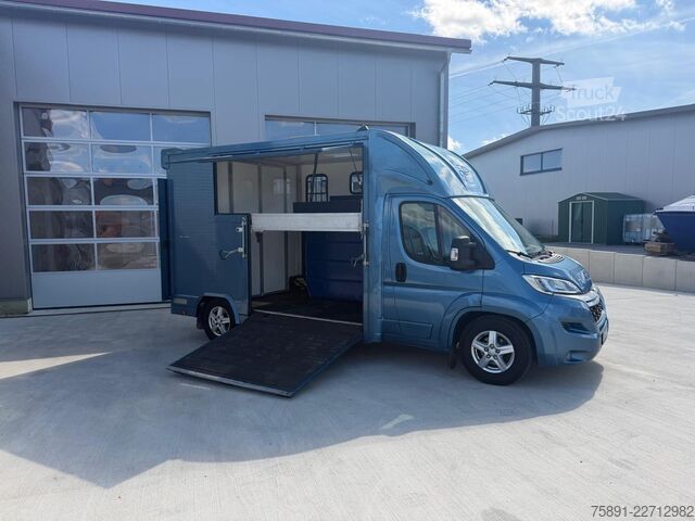μεταφορέας ζώων Citroën Pferdetransporter Nur 68,000KM 2 Ride