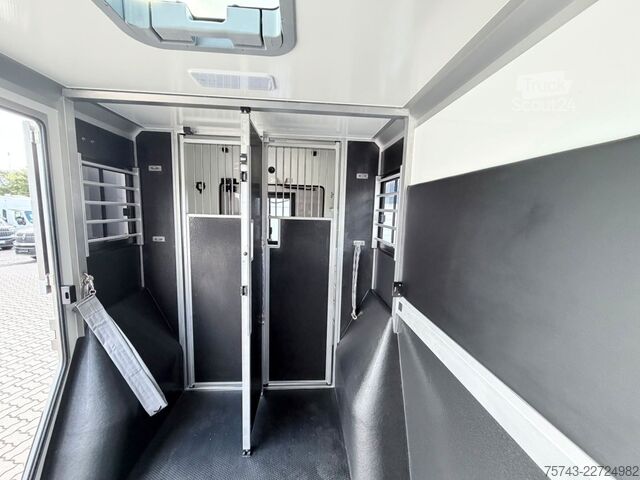 Transportador de gado RENAULT Master STX 5 Sitzer Haras ex. Lang Automatik
