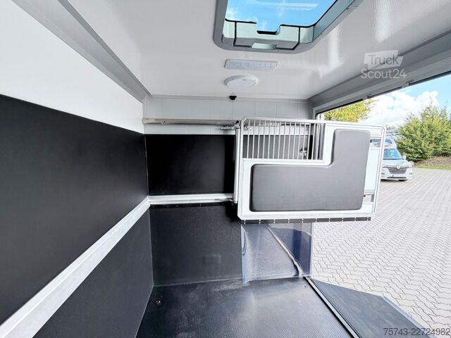 Transportador de gado RENAULT Master STX 5 Sitzer Haras ex. Lang Automatik