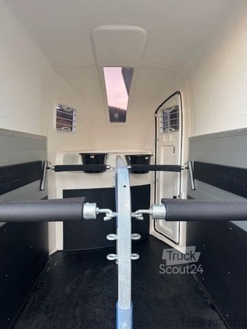 Horse transport trailer HUMBAUR Pegasus 2 Pferdeanhänger 2,4t Neu ALU DS-Klappe