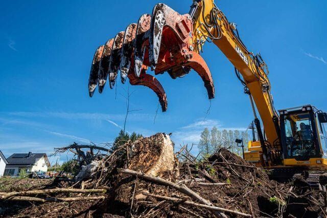 Inşaat makinesi Westtech Woodcracker G1650 Roderechen lagernd!