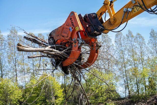 Inşaat makinesi Westtech Woodcracker G1650 Roderechen lagernd!