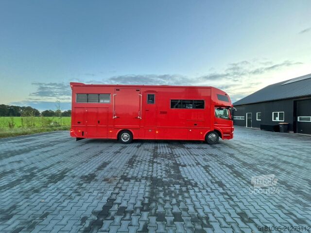 Viehtransport Mercedes Atego Mercedes Atego STX 5 Paards super conditie.