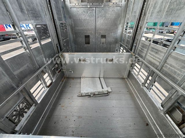 Przyczepa do transportu koni PEZZIOLI RBA31 3.Stock Viehanhänger, Hubdach, Tränke