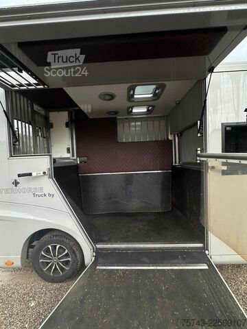 Boskapstransportör RENAULT Master Interhorse  5 Sitzer  Haras / Hengste
