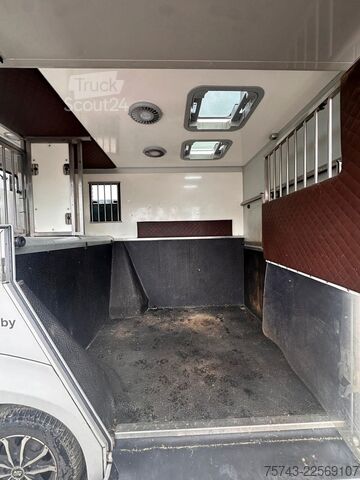 Boskapstransportör RENAULT Master Interhorse  5 Sitzer  Haras / Hengste