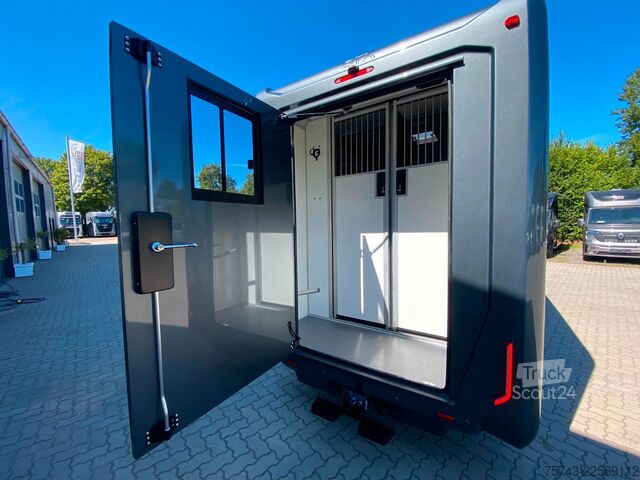 Boskapstransportör RENAULT Master STX 5 Sitzer Haras ex. Lang Automatik