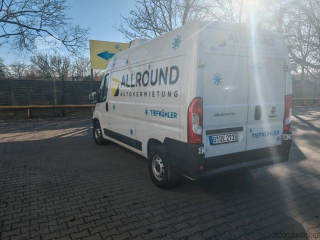 Kylskåpsbil FIAT Ducato 35 L2H2 TK-Kasten