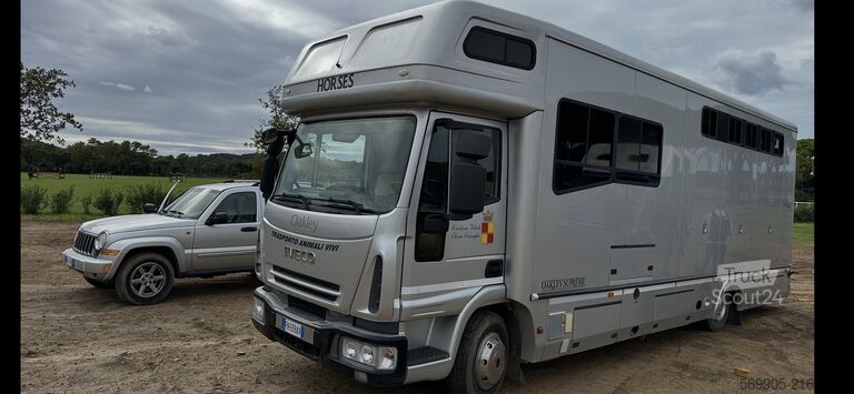 “Van for transporting 4 horses with living quarters” IVECO OAKLEY IVECO ML 100E21