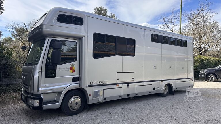 “Van for transporting 4 horses with living quarters” IVECO OAKLEY IVECO ML 100E21