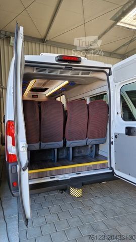 Microbuz 2 x Opel Movano, 3 x Fiat Ducato 18 Sitzer Jumpe