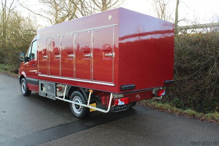 Chladírenská dodávka MERCEDES-BENZ Sprinter 310 Cold Car -33°C ATP 01/28