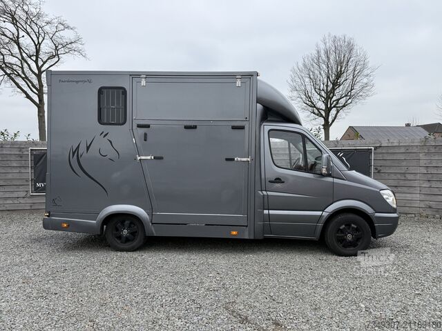 Transport af heste Mercedes-Benz Sprinter PAARDENWAGEN | HORSETRUCK | TVW | STAL...