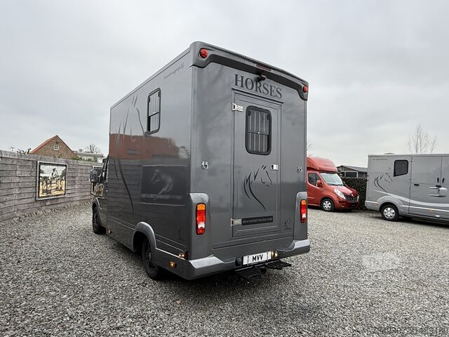 Transport af heste Mercedes-Benz Sprinter PAARDENWAGEN | HORSETRUCK | TVW | STAL...