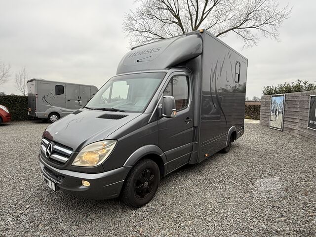 Transport af heste Mercedes-Benz Sprinter PAARDENWAGEN | HORSETRUCK | TVW | STAL...