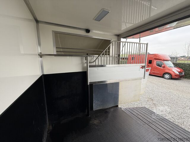 Transport af heste Mercedes-Benz Sprinter PAARDENWAGEN | HORSETRUCK | TVW | STAL...