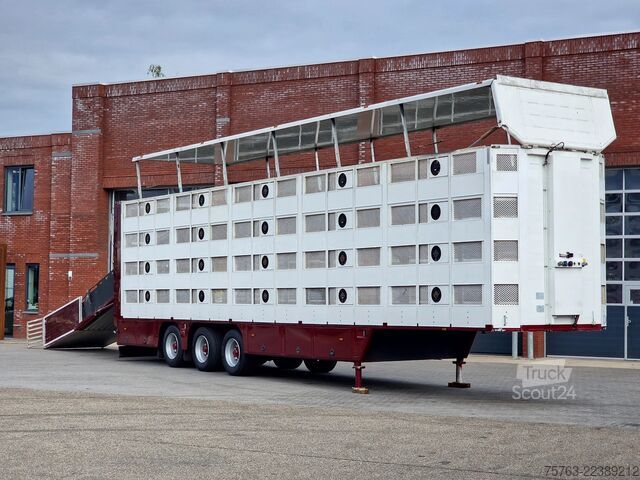 Transporte de ganado CUPPERS 4 stock - new TUV - type 2 - lifting floors - l...