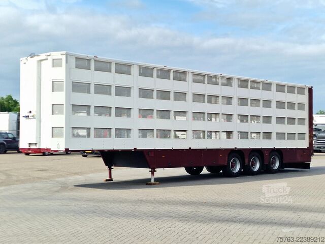 Transporte de ganado CUPPERS 4 stock - new TUV - type 2 - lifting floors - l...
