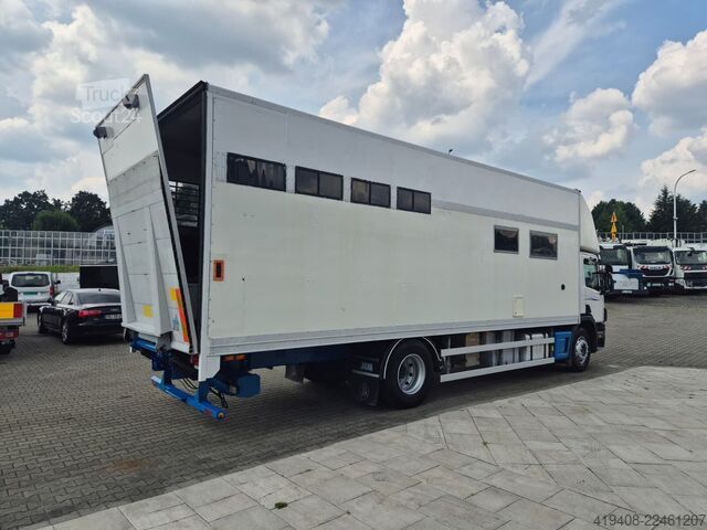Transporte de cavalos Scania P94 300 4X2 / ZEPRO / 5 SEATS