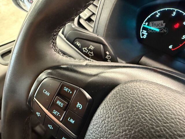 Duba panelată FORD Transit Kasten 350 L3 Trend 11/2024