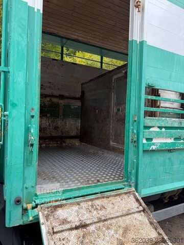 Transporteur de bétail MERCEDES-BENZ 817L D VIEHLKW FÜR 7 KÜHE
