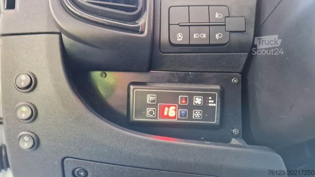 Microbuz FIAT Ducato Opel Movano bis 18 SS  in Stock