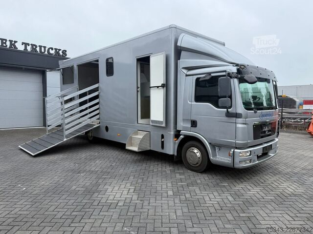 Paarden transport MAN | Horse Truck | Year: 2011 | KM: 312.257 | 5 Ho...