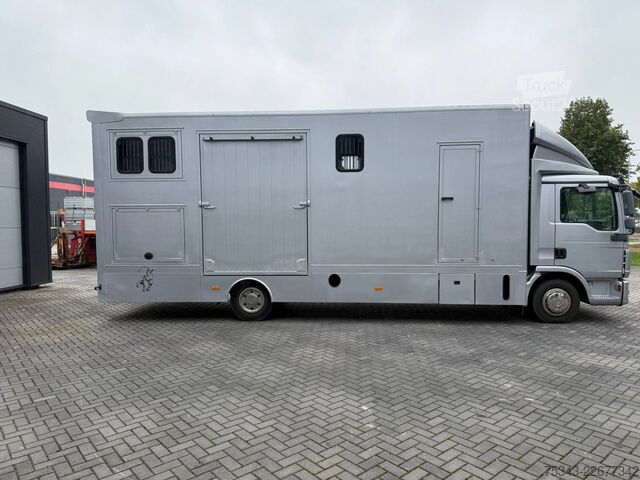 Paarden transport MAN | Horse Truck | Year: 2011 | KM: 312.257 | 5 Ho...