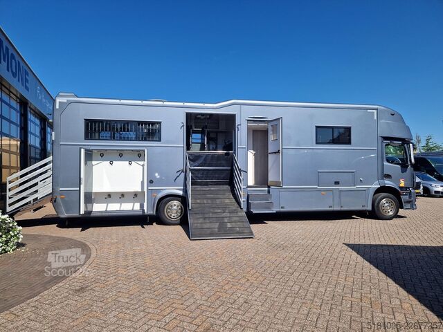 Transport av hester Mercedes-Benz Antos Occasion paardenwagen AKX 6 paarden plus ...