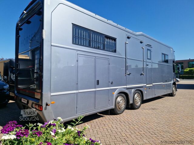 Transport av hester Mercedes-Benz Antos Occasion paardenwagen AKX 6 paarden plus ...