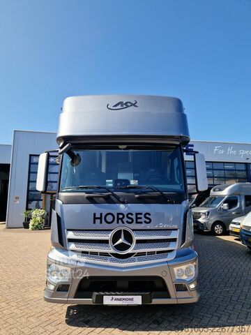 Transport av hester Mercedes-Benz Antos Occasion paardenwagen AKX 6 paarden plus ...