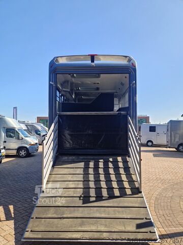 Transport av hester Mercedes-Benz Antos Occasion paardenwagen AKX 6 paarden plus ...