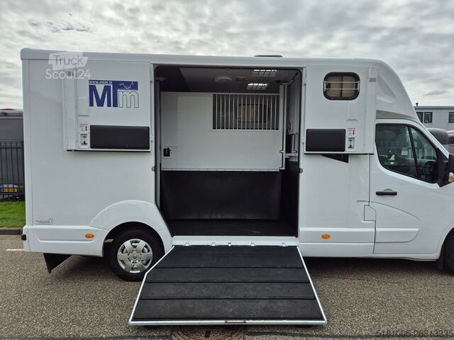 Paarden transport Renault Master Occasion Renault Master MTM paardenwagen...