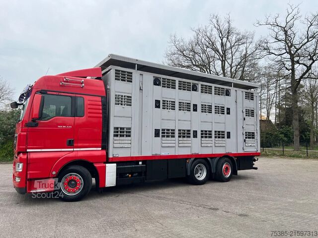 Cattle transport MAN TGX 26.440 6x2/4 Menke Livestock Veewagen Gross...