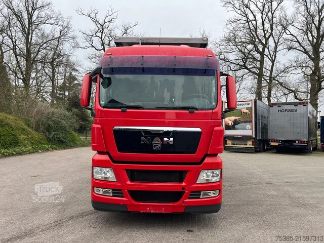 Cattle transport MAN TGX 26.440 6x2/4 Menke Livestock Veewagen Gross...