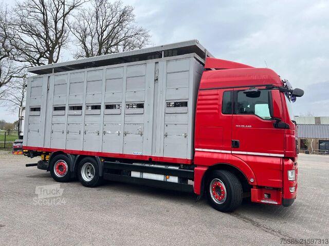 Cattle transport MAN TGX 26.440 6x2/4 Menke Livestock Veewagen Gross...