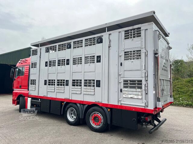 Cattle transport MAN TGX 26.440 6x2/4 Menke Livestock Veewagen Gross...