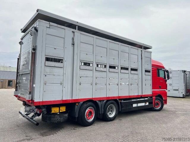 Cattle transport MAN TGX 26.440 6x2/4 Menke Livestock Veewagen Gross...