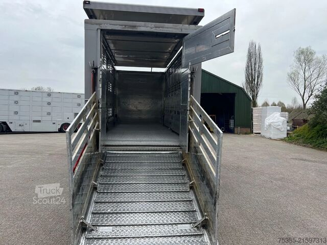 Cattle transport MAN TGX 26.440 6x2/4 Menke Livestock Veewagen Gross...