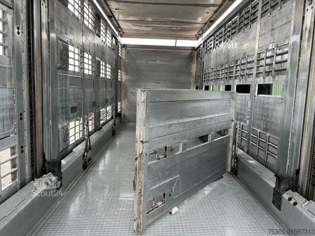 Cattle transport MAN TGX 26.440 6x2/4 Menke Livestock Veewagen Gross...