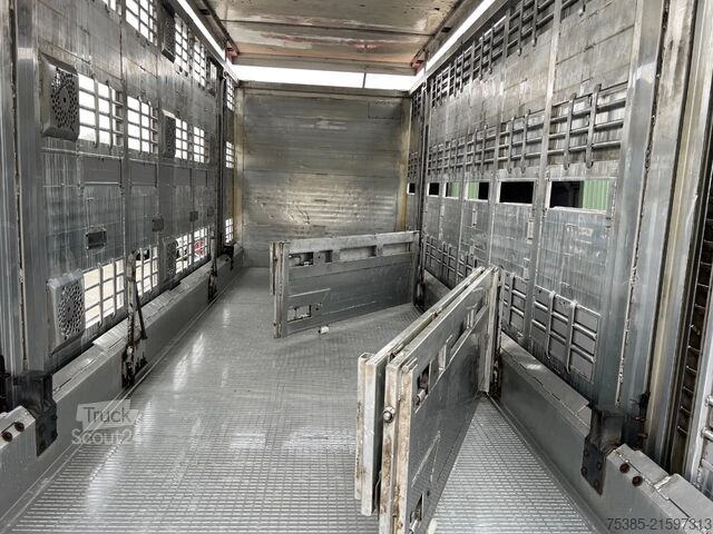 Cattle transport MAN TGX 26.440 6x2/4 Menke Livestock Veewagen Gross...
