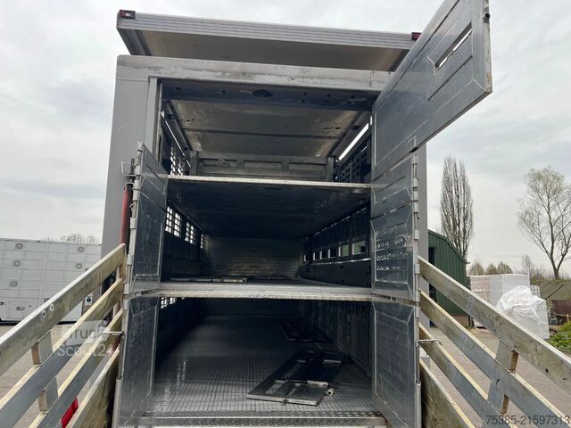 Cattle transport MAN TGX 26.440 6x2/4 Menke Livestock Veewagen Gross...