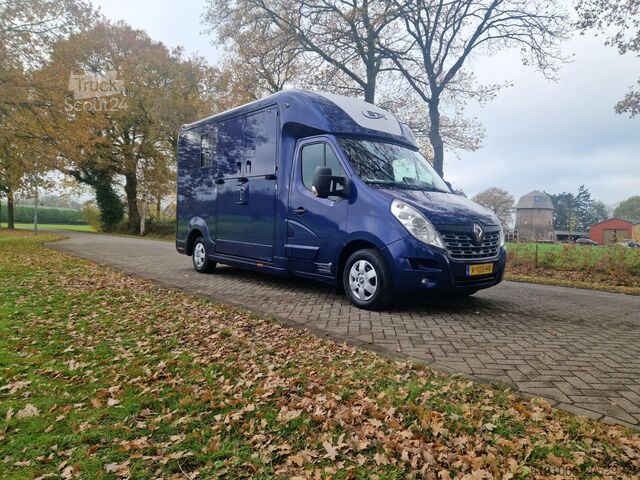 Horse transportation Renault Master STX automaat paardenwagen voorzien van e...