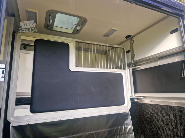 Horse transportation Renault Master STX automaat paardenwagen voorzien van e...