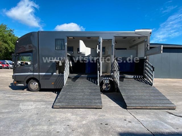 Viehtransporter LKW MERCEDES-BENZ Atego 818 Pferdetransporter