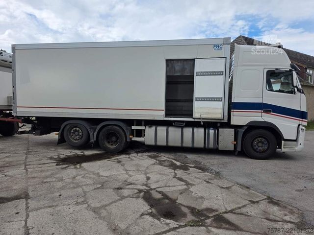 Koelwagen VOLVO FH 480 Kühler mit Kühlanhänger, LBW+Türen