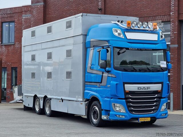 Transport de bétail DAF XF 510 6x2 SuperSpaceCab - Livestock Cuppers 3 ...